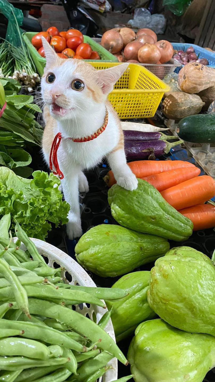 Su hào thì 15.000 đồng/kg.