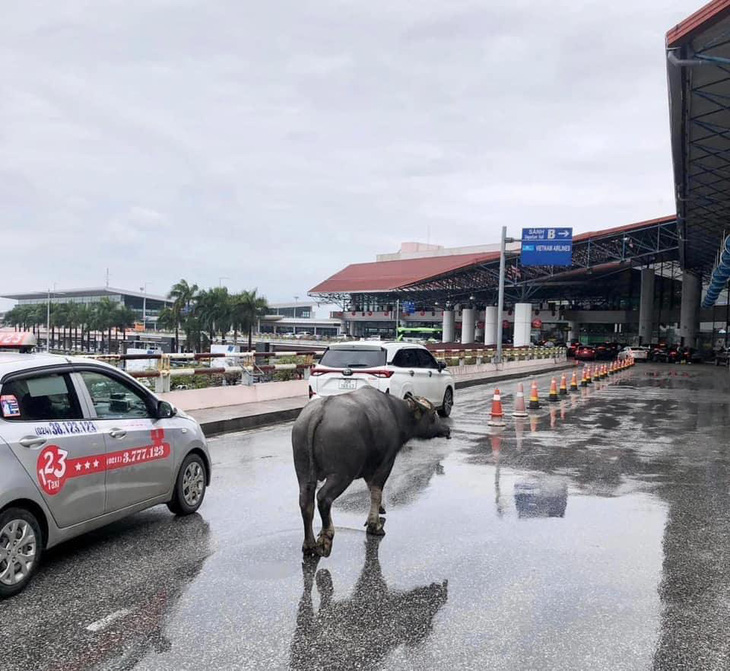 Ai &quot;lái&quot; Lam-bò-ghi-ni này đi thế?