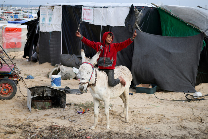 Cậu bé chơi đùa trên lưng lừa tại một khu tị nạn dành cho người Palestine rời bỏ nhà cửa do chiến tranh hôm 26-1. Khu lều này ở gần biên giới với Ai Cập, phía nam Dải Gaza - Ảnh: REUTERS
