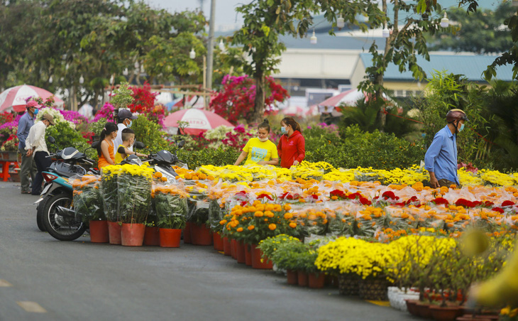 Chợ hoa xuân Bình Điền thu hút các nhà vườn đến từ các tỉnh  phía Nam - Ảnh: N.BÌNH