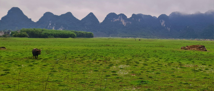 Thung lũng Tú Làn bằng phẳng và xanh tươi giữa các dãy núi đá vôi - Ảnh QUỐC VIỆT