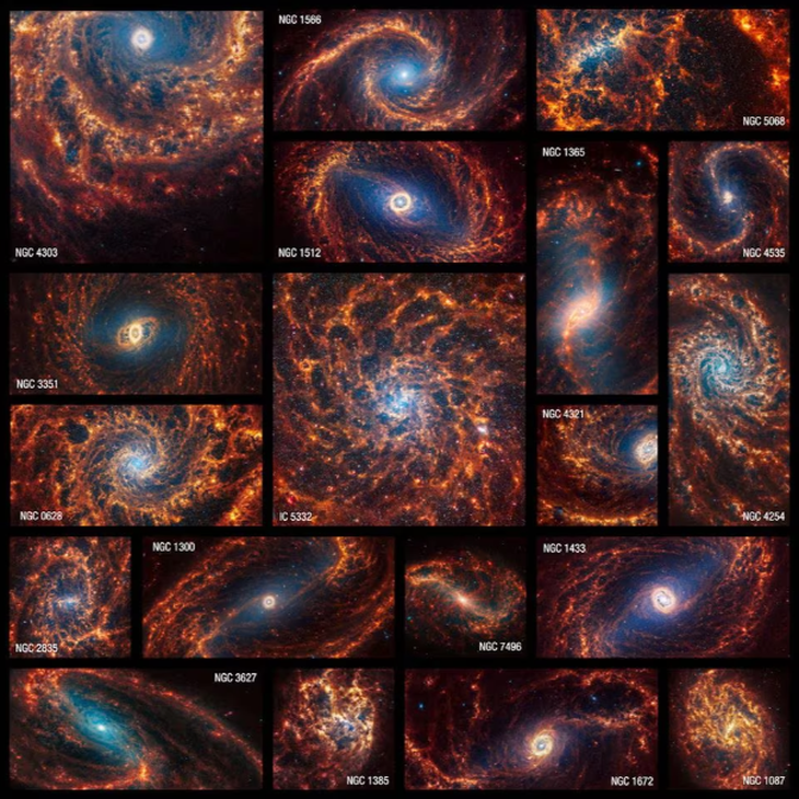 19 thiên hà xoắn ốc do kính viễn vọng James Webb chụp lại - Ảnh: REUTERS