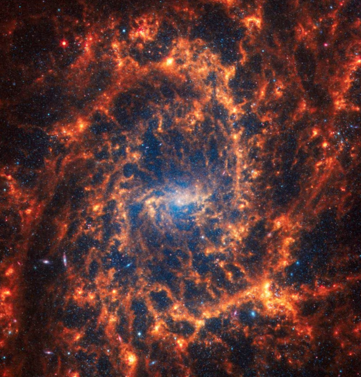 Thiên hà xoắn ốc NGC 2835 nằm cách Trái đất 35 triệu năm ánh sáng - Ảnh: REUTERS