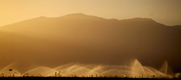 Hệ thống tưới tiêu tưới cho cánh đồng cà rốt ở Cuyama Valley của California vào tháng 10-2023 - Ảnh: LOS ANGELES TIMES