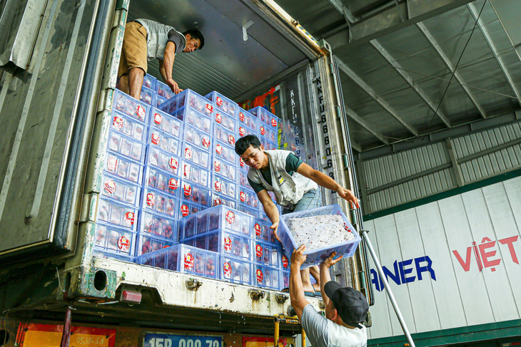 Công nhân vận chuyển nông sản lên các xe container trước khi xuất khẩu sang Trung Quốc tại khu vực cửa khẩu Tân Thanh, tỉnh Lạng Sơn - Ảnh: HÀ QUÂN