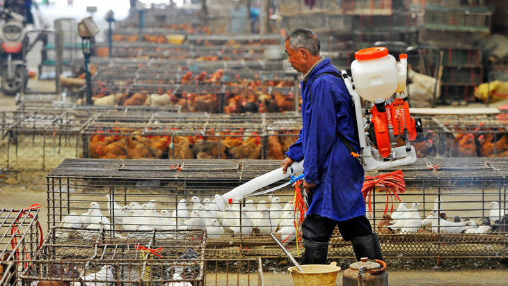 Một khu chợ gia cầm được khử trùng ở thành phố Vũ Hán, Trung Quốc - Ảnh: AFP