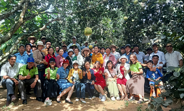 Đoàn du khách trải nghiệm khám phá vườn trái cây ở xã Hành Nhân, huyện Nghĩa Hành - Ảnh: TRẦN MAI