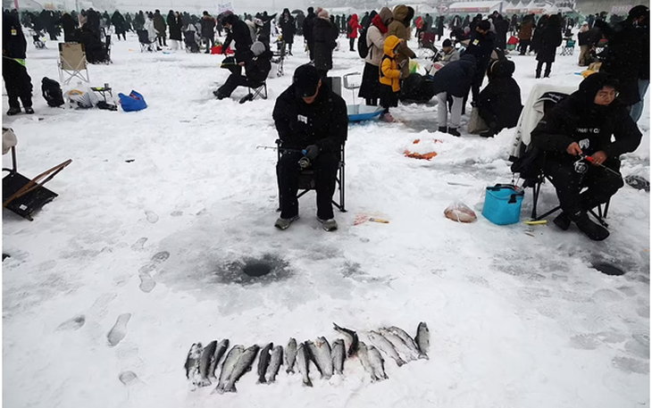 Lễ hội câu cá trên băng tại Hàn Quốc sẽ khai mạc vào ngày 6-1