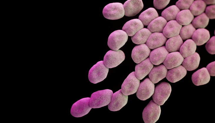 Chủng vi khuẩn Acinetobacter baumannii, có khả năng kháng lại tất cả các loại thuốc mà bác sĩ dùng để tiêu diệt nó ở một số bệnh nhân. Ảnh minh họa. Nguồn: reuters.com