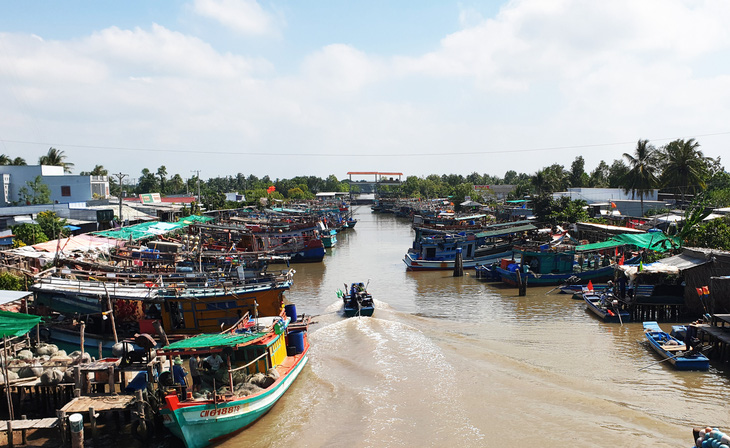 Một số tàu khai thác thủy sản ở Cà Mau không dám ra khơi do sợ ngư trường tranh chấp - Ảnh: THANH HUYỀN