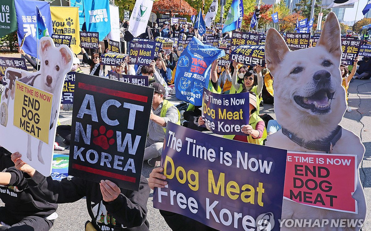 Hàn Quốc thông qua luật cấm tiêu thụ thịt chó, cho 