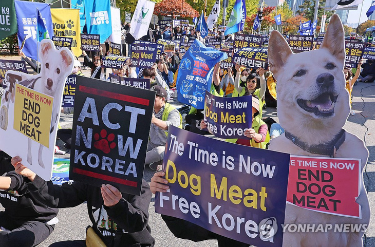 Người dân tham gia cuộc biểu tình kêu gọi chấm dứt tiêu thụ thịt chó ở Seoul, Hàn Quốc vào ngày 29-10-2023 - Ảnh: YONHAP