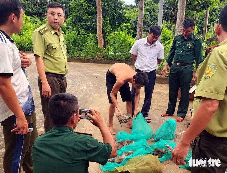 Phạt người đưa 17 con khỉ đuôi dài Côn Đảo về bờ hơn 17 triệu đồng  - Ảnh 1.
