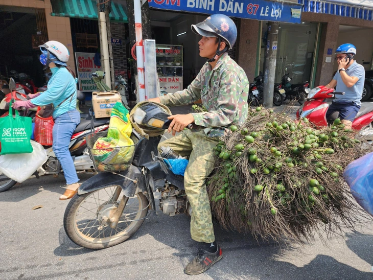 Giá cao kỷ lục, 1 tấn cau đổi được 1 lượng vàng - Ảnh 4.