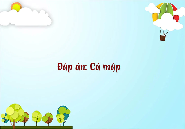 Tỉnh nào Việt Nam trong tên bỏ đầu thì biến thành vàng? - Ảnh 1.