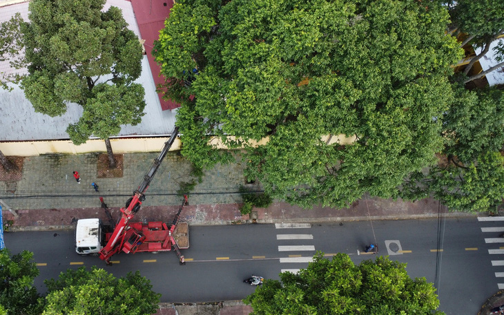 Du lịch xanh: Du khách trồng cây, nhặt rác, không để lại gì ngoài dấu chân