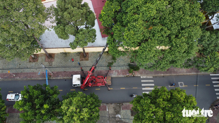 Thăm thành phố cây xanh Trà Vinh, điểm du lịch "chữa lành" ở miền Tây - Ảnh 5.