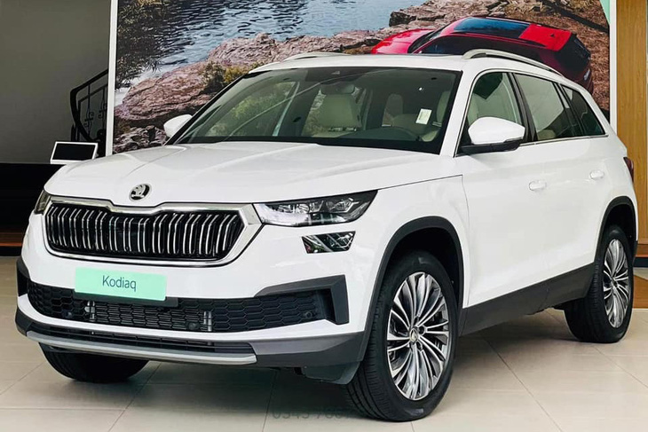 Tin tức giá xe: Skoda Karoq, Kodiaq giảm giá  - Ảnh 4.