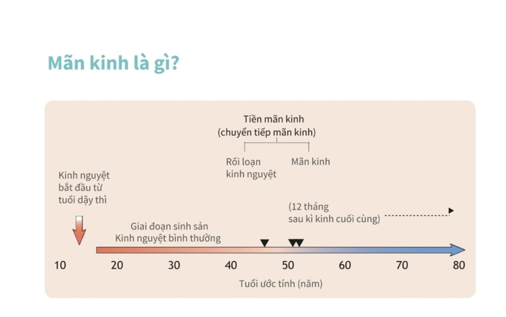 Mãn kinh không đơn giản chỉ là không còn ‘đèn đỏ’ - Ảnh 2.