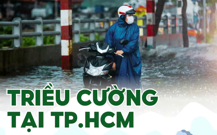 Dân vùng triều cường ngóng công trình chống ngập - Ảnh 3.