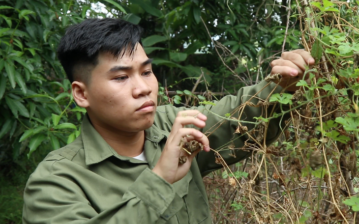 Nữ tân SV Điện Biên đậu ngành y: Học để chữa bệnh cho mẹ, mà mẹ ra đi đau lòng - Ảnh 2.