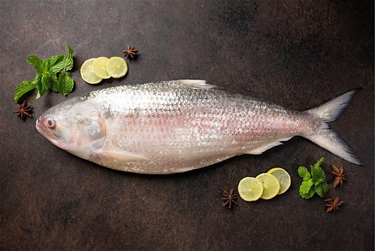 ca-hilsa-17278441311372081808257.jpg