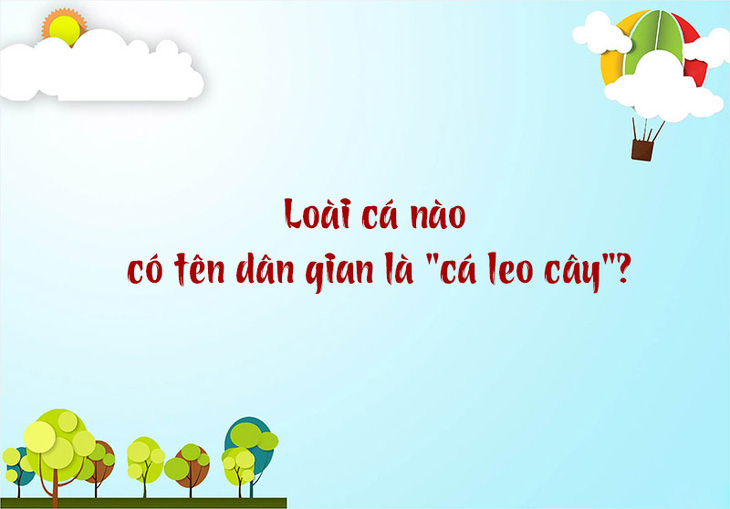  Tỉnh nào nước ta trong tên bỏ đầu thì biến thành vàng? - Ảnh 3.