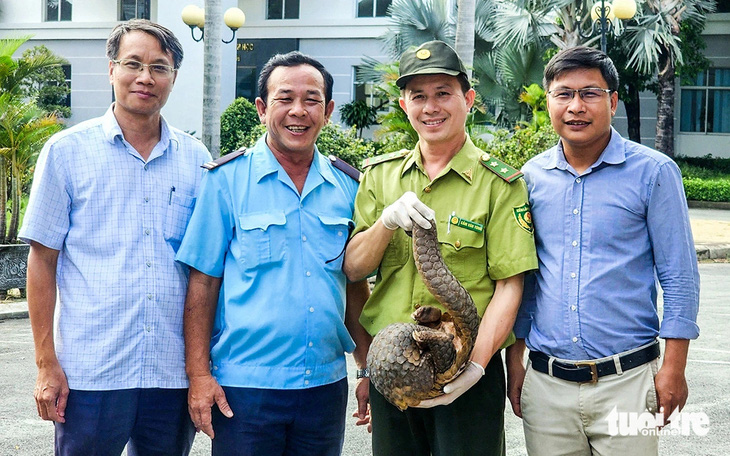 Thêm con tê tê Java 7kg 'đi lạc' ở Trung tâm Công nghệ sinh học TP.HCM - Ảnh 1.