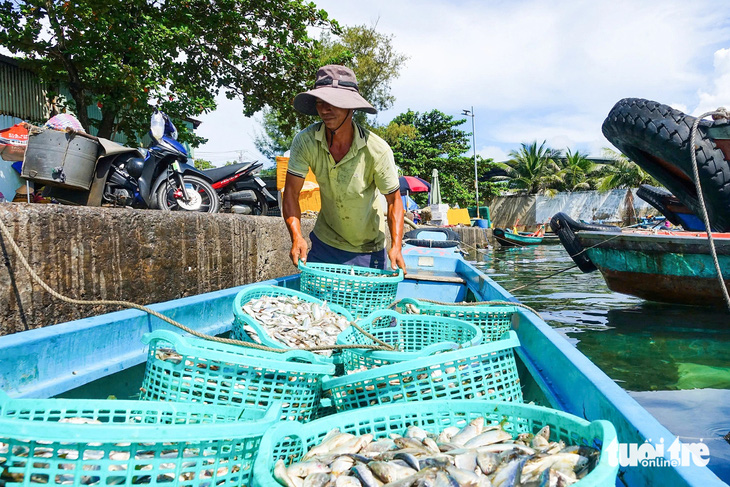 Nhịp sống rộn ràng của ngư dân ở cảng cá sầm uất nhất Phú Quốc - Ảnh 2.