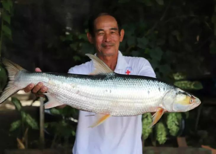 'Ma sông Mekong' xuất hiện trở lại sau gần 20 năm - Ảnh 1.