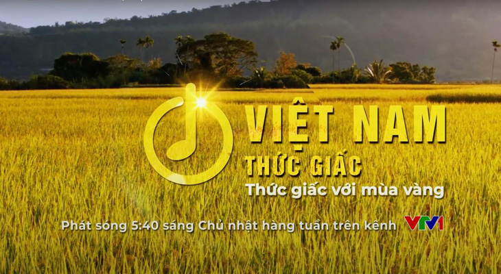 Những chuyến xe mùa vàng chở ngàn tâm tình nhà nông - Ảnh 2.