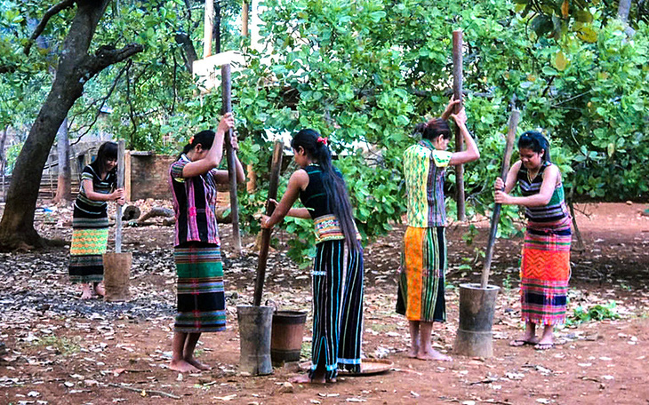 Về sóc Bom Bo nghe tiếng chày giã gạo - Ảnh 1.