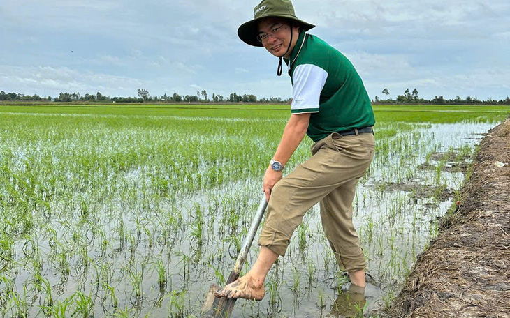 Gặt lúa mùa vàng ở 'đất kim cương' sát bờ sông Sài Gòn - Ảnh 2.