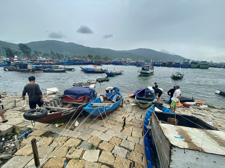 Đà Nẵng còn hơn 200 lao động trên biển đang tránh bão Trà Mi - Ảnh 1.