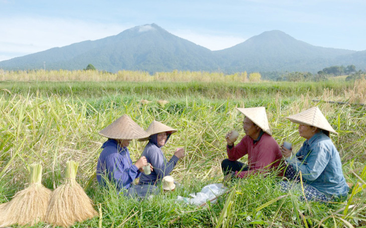 indonesia-1729818432352703142660.jpg