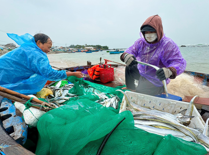 'Bão vào, sóng to cá mới nhiều' bà con bất chấp lệnh cấm ra biển đánh bắt. - Ảnh 5.