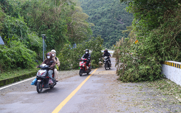 Nhánh cây lớn gãy gập, đè trúng một ô tô ở Đà Nẵng - Ảnh 4.