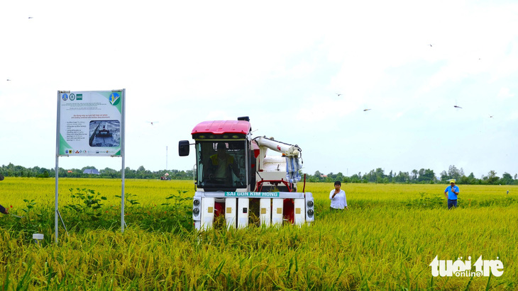 Đồng Tháp đặt mục tiêu 80% diện tích trồng lúa giảm phát thải - Ảnh 2.