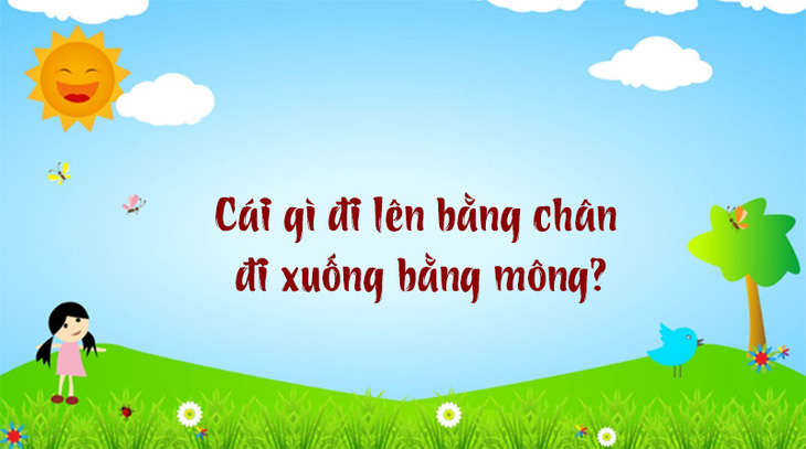 Tỉnh nào ở Việt Nam trong tên có một con vật? - Ảnh 2.