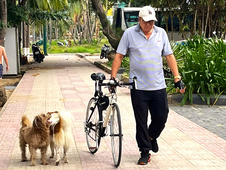 Chó thả rông tràn lan ở bờ biển Nha Trang, du khách mong có thêm đội bắt chó thả rông - Ảnh 1.