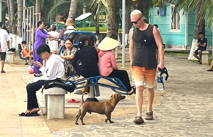 Chó thả rông tràn lan ở bờ biển Nha Trang, du khách mong có thêm đội bắt chó thả rông - Ảnh 2.