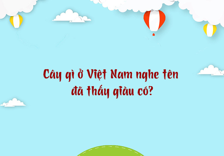 Cây gì ở Việt Nam nghe tên đã thấy giàu có? - Ảnh 1.