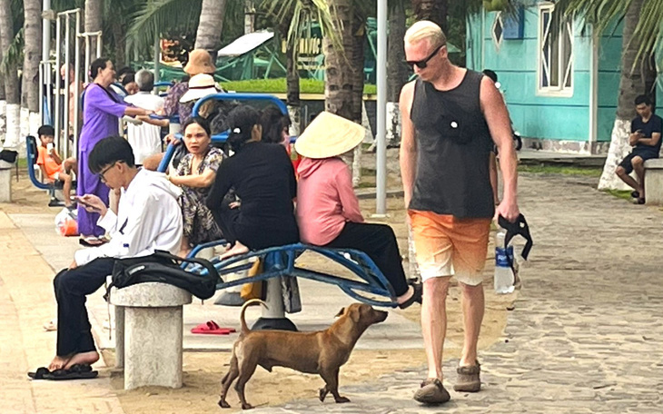 Thấy đội bắt chó thả rông ở bãi biển Nha Trang, chủ ôm chó rời đi - Ảnh 6.