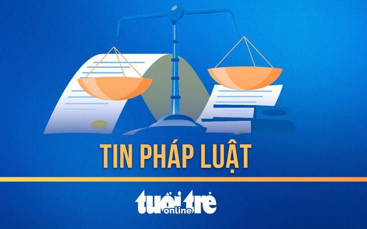 Phạt tù người phụ nữ lợi dụng các quyền tự do dân chủ xâm phạm lợi ích Nhà nước - Ảnh 2.