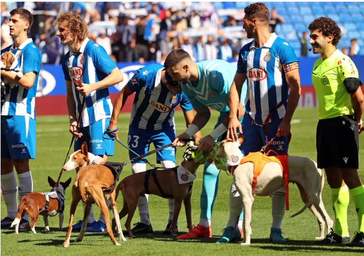 Cầu thủ Espanyol ra sân cùng những chú chó bị bỏ rơi - Ảnh 1.