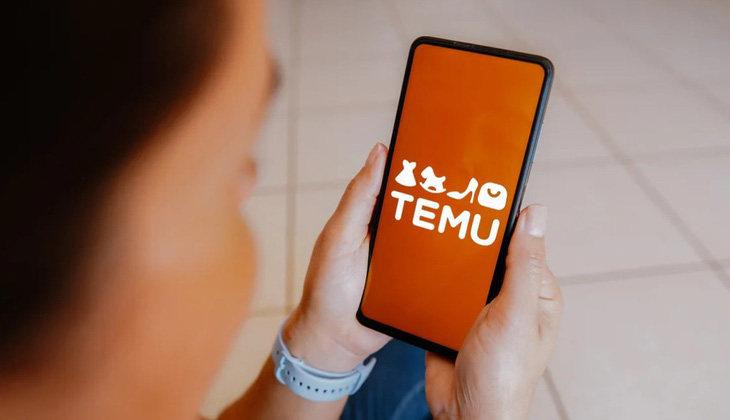 Vì sao EU điều tra Temu? - Ảnh 2.