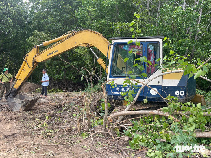 Phát hiện 3 vụ phá rừng trái pháp luật có dấu hiệu hình sự - Ảnh 3.