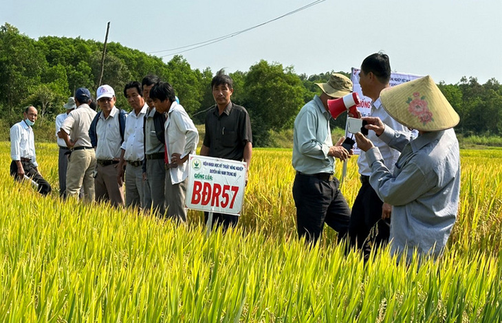 Huyện Bình Sơn đặt mục tiêu đạt chuẩn nông thôn mới - Ảnh 2.