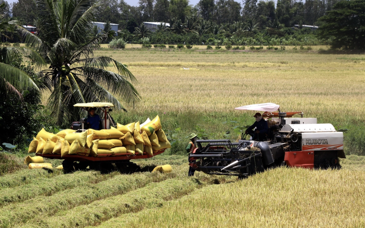 Nông dân muốn vay, ngân hàng rất muốn cho vay, nhưng vì sao không vay được? - Ảnh 2.