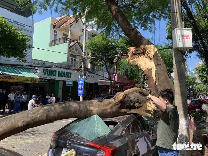 Nhánh cây lớn gãy gập, đè trúng một ô tô ở Đà Nẵng - Ảnh 1.